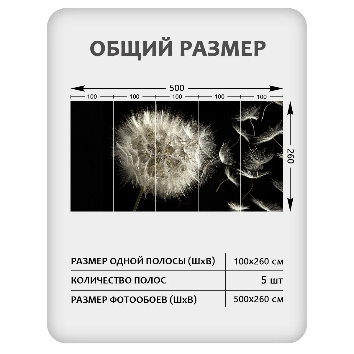 Фотообои рулонные Citydecor Цветы и Растения 58 на флизелиновой основе 500x260 см