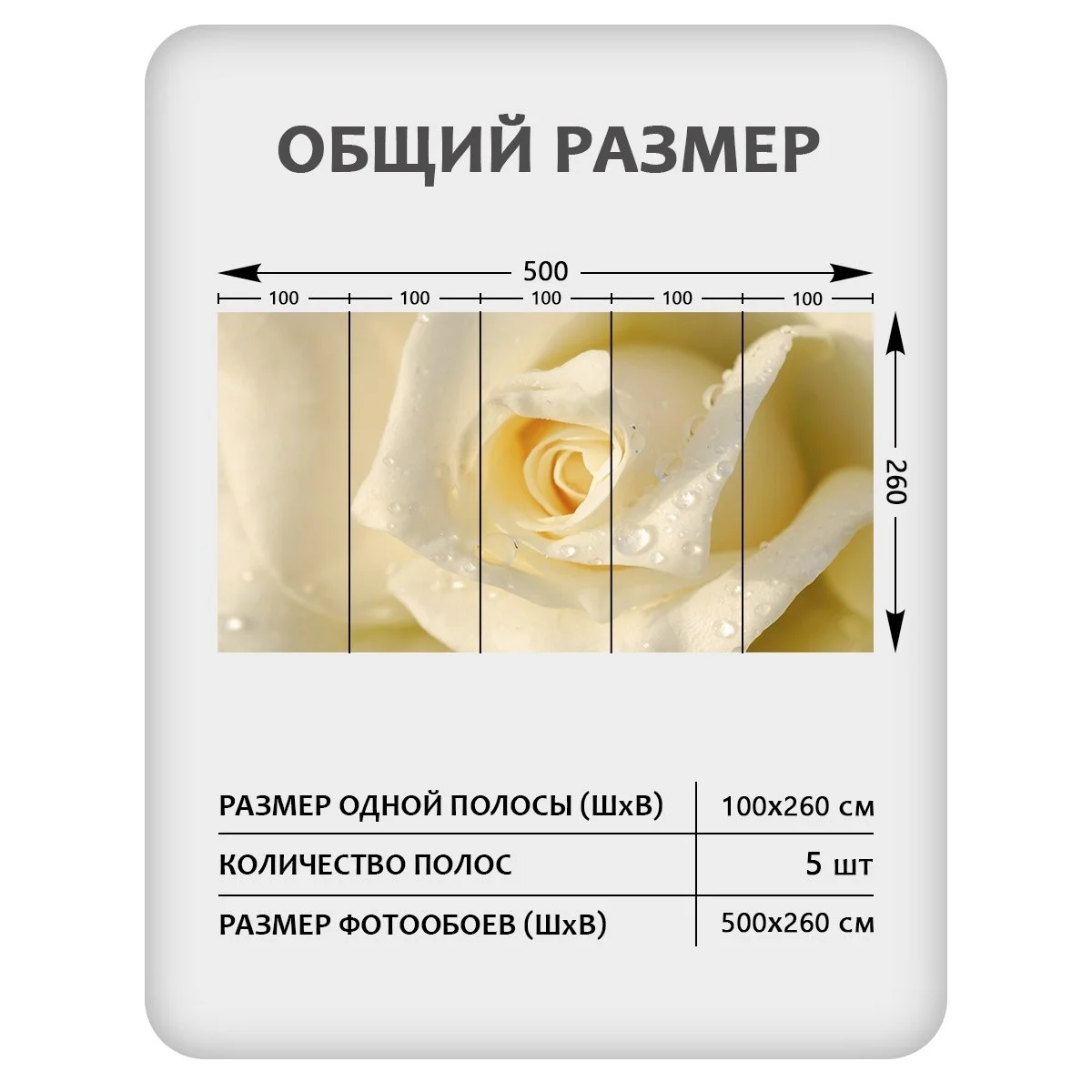 Фотообои рулонные Citydecor Цветы и Растения 65 на флизелиновой основе 500x260 см