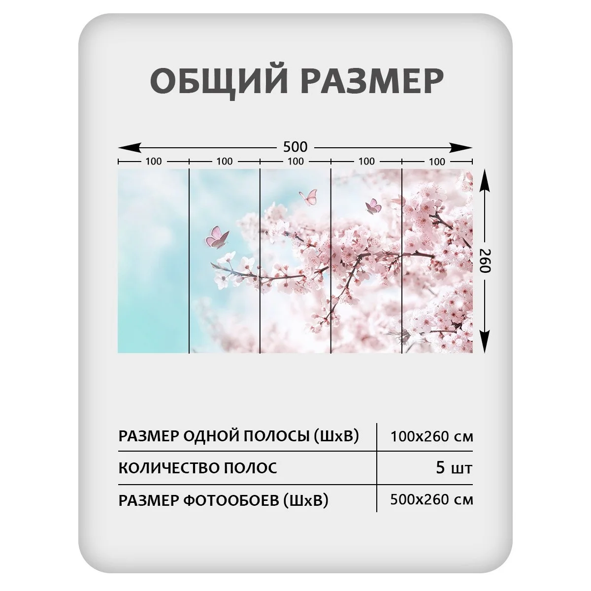 Фотообои рулонные Citydecor Цветы и Растения 67 на флизелиновой основе 500x260 см