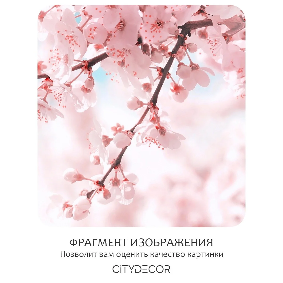 Фотообои рулонные Citydecor Цветы и Растения 67 на флизелиновой основе 500x260 см