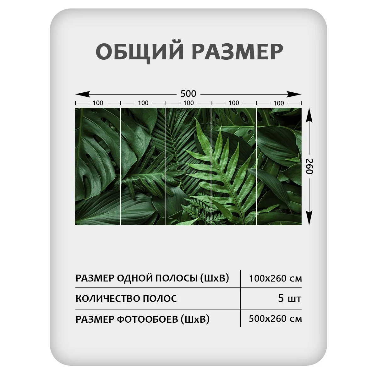 Фотообои рулонные Citydecor Цветы и Растения 73 на флизелиновой основе 500x260 см