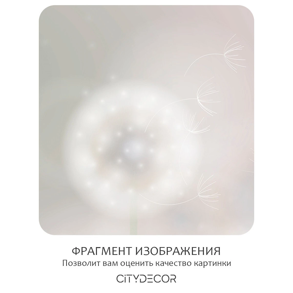 Бесшовное панно Citydecor Цветы и Растения 7 на флизелиновой основе 500x270 см