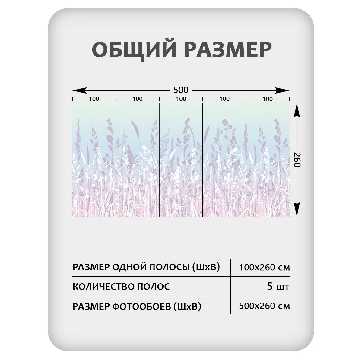 Фотообои рулонные Citydecor Невесомость 15 на флизелиновой основе 500x260 см