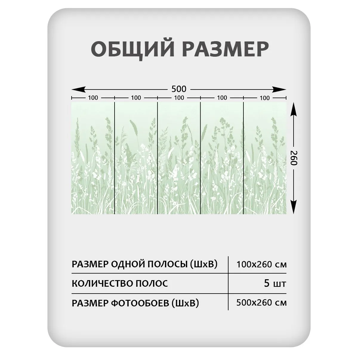 Фотообои рулонные Citydecor Невесомость 16 на флизелиновой основе 500x260 см