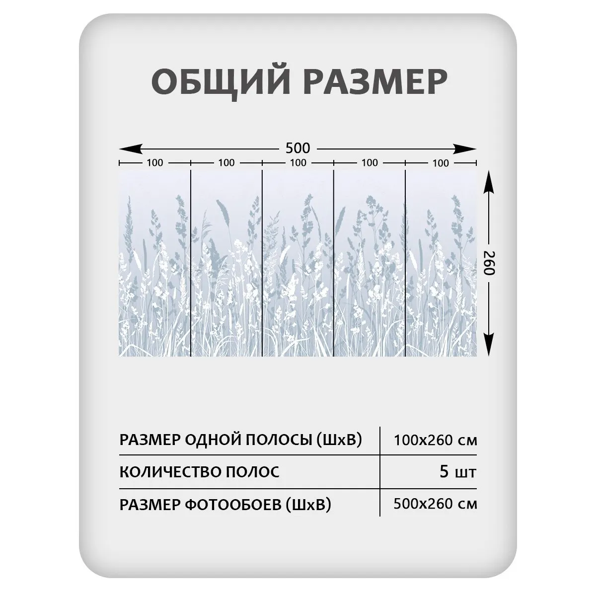 Фотообои рулонные Citydecor Невесомость 17 на флизелиновой основе 500x260 см