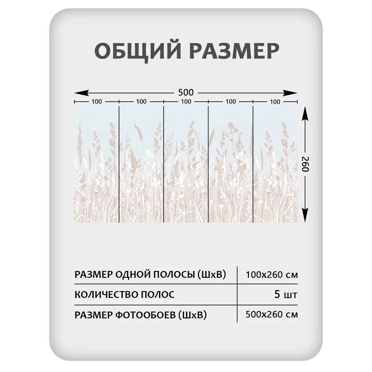 Фотообои рулонные Citydecor Невесомость 19 на флизелиновой основе 500x260 см