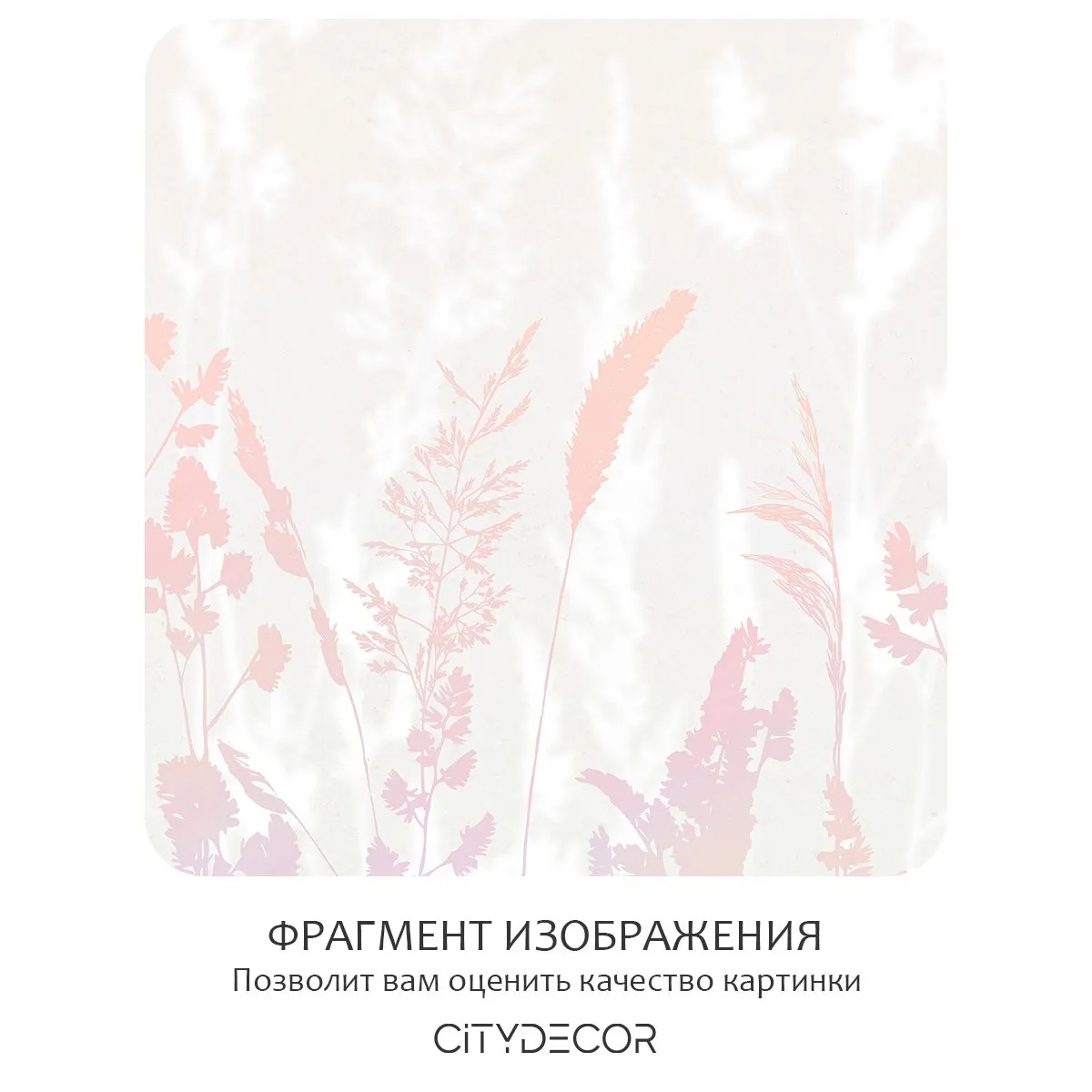 Фотообои рулонные Citydecor Невесомость 20 на флизелиновой основе 500x260 см