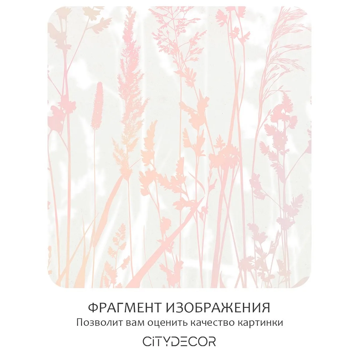 Фотообои рулонные Citydecor Невесомость 20 на флизелиновой основе 500x260 см