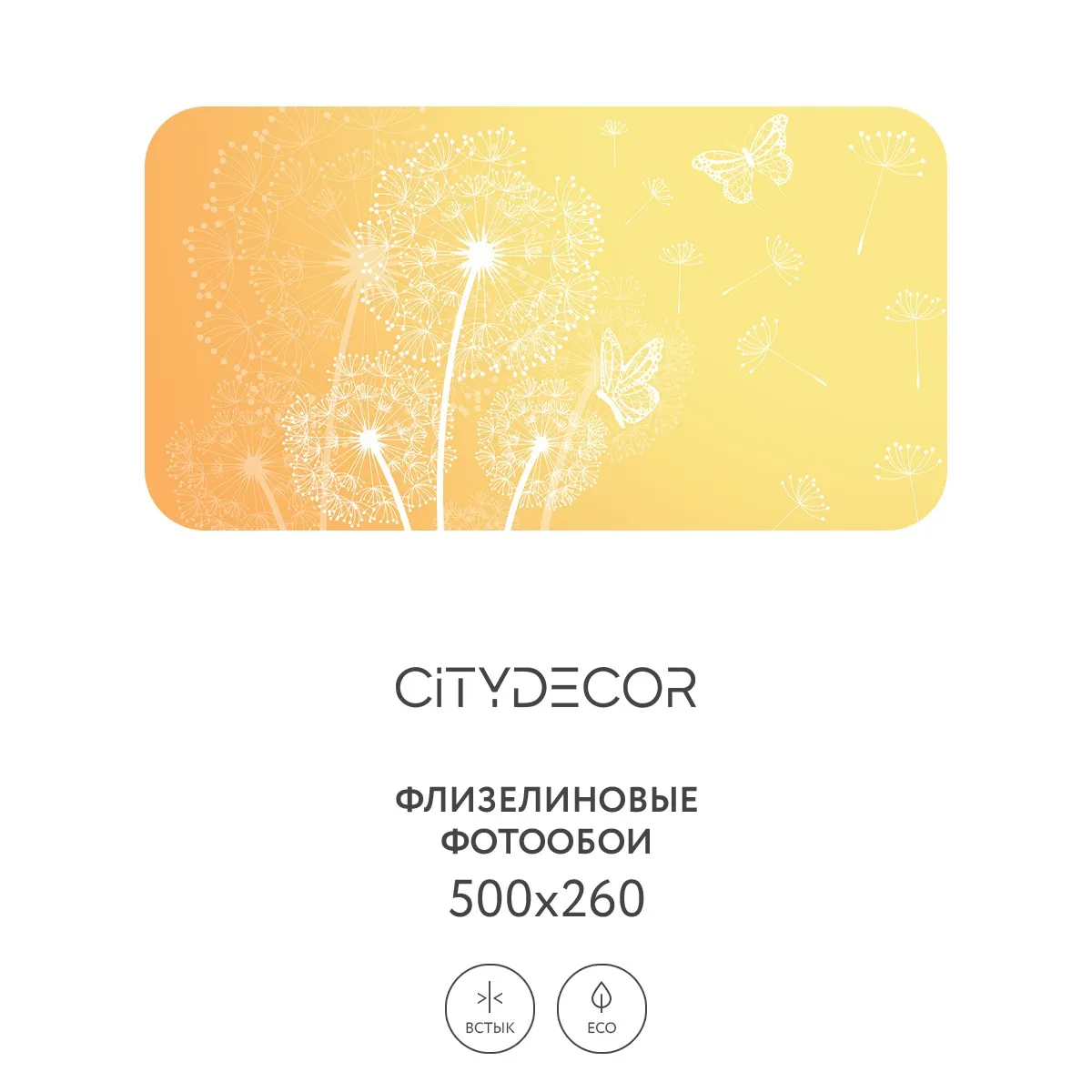 Фотообои рулонные Citydecor Невесомость 4 на флизелиновой основе 500x260 см