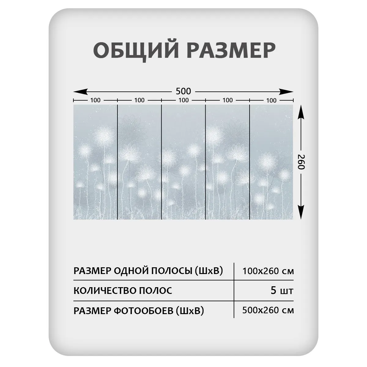 Фотообои рулонные Citydecor Невесомость 42 на флизелиновой основе 500x260 см