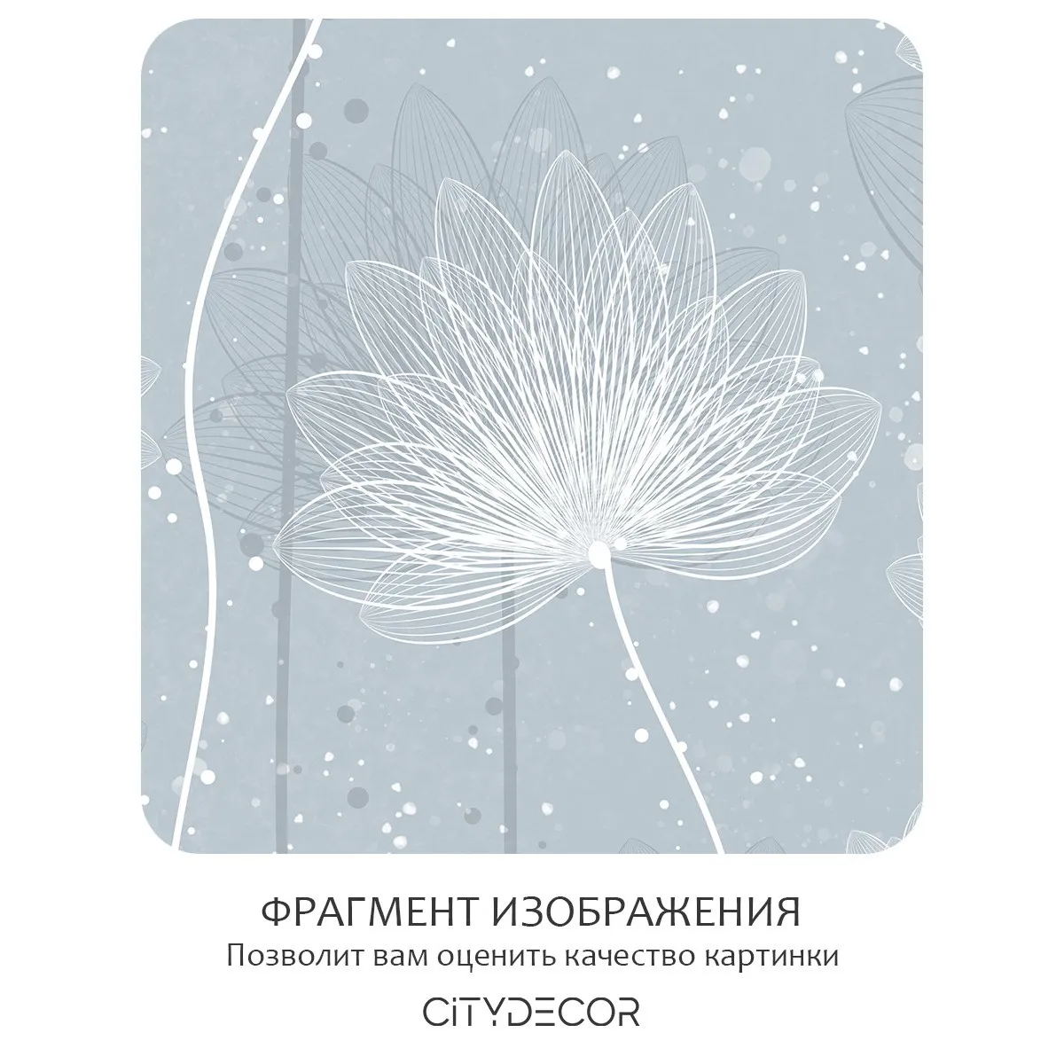 Фотообои рулонные Citydecor Невесомость 42 на флизелиновой основе 500x260 см
