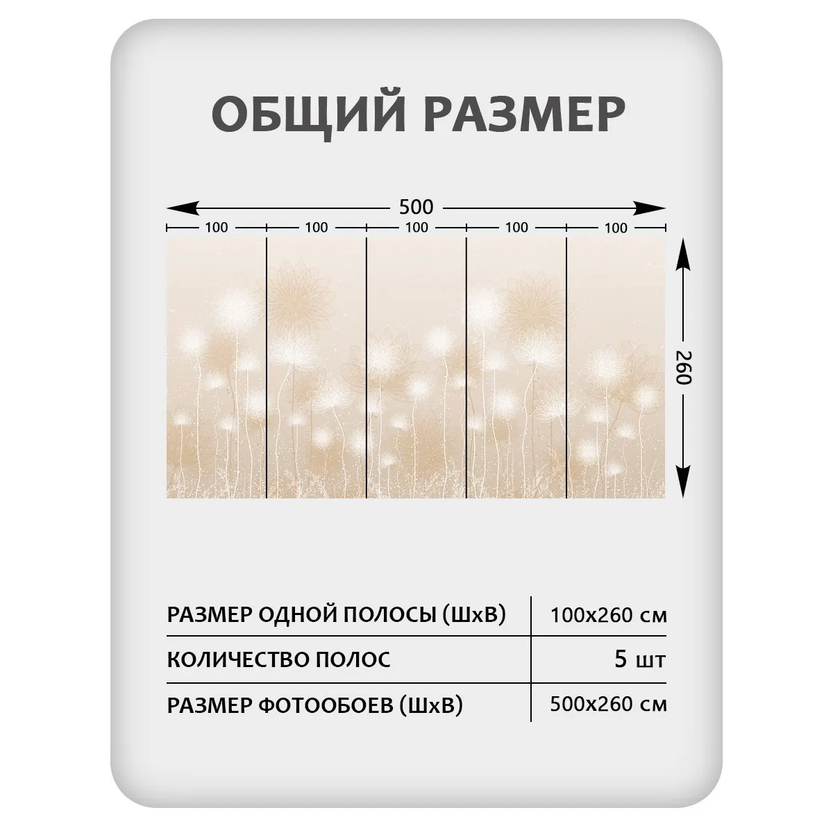 Фотообои рулонные Citydecor Невесомость 43 на флизелиновой основе 500x260 см