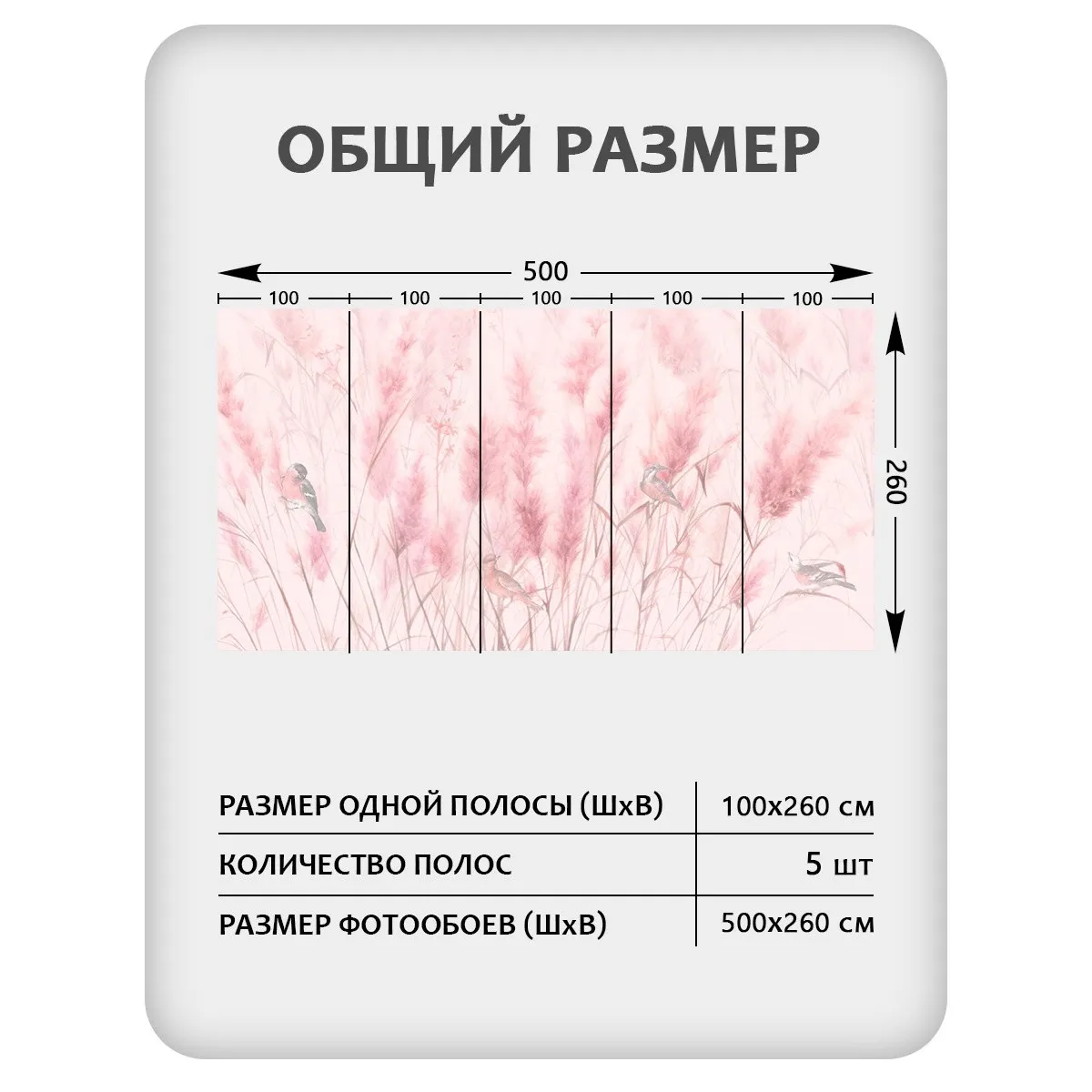 Фотообои рулонные Citydecor Невесомость 44 на флизелиновой основе 500x260 см