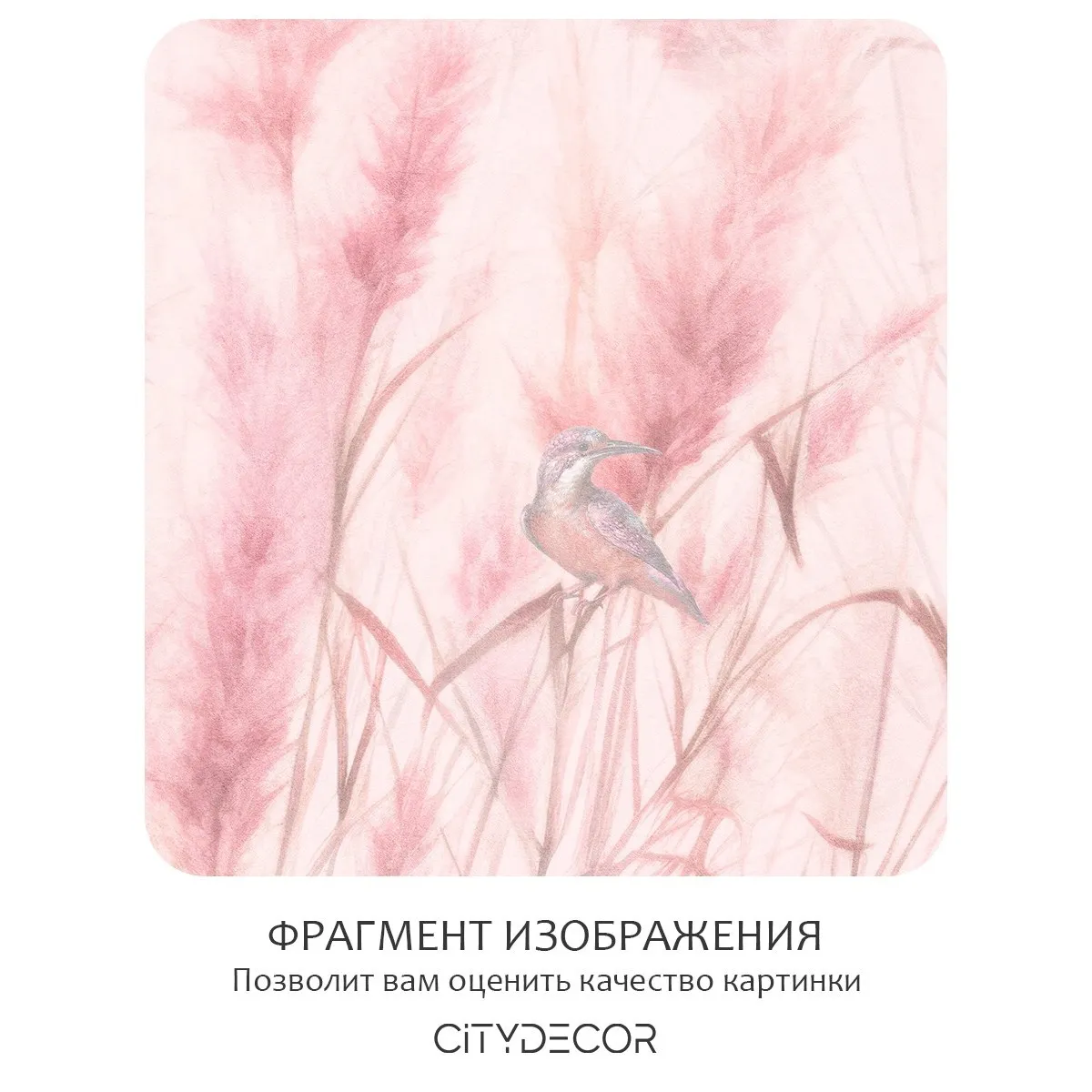 Фотообои рулонные Citydecor Невесомость 44 на флизелиновой основе 500x260 см