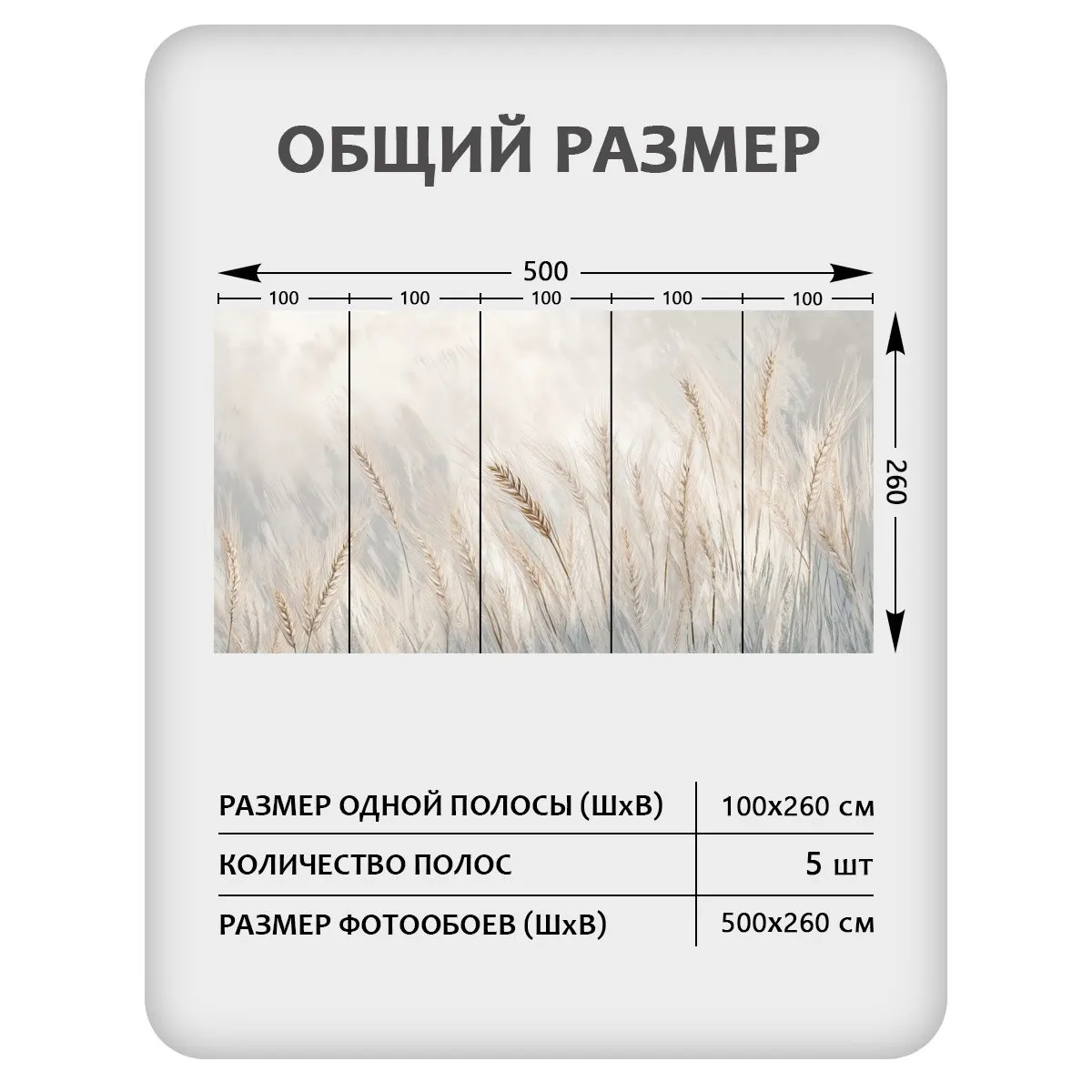 Фотообои рулонные Citydecor Невесомость 45 на флизелиновой основе 500x260 см