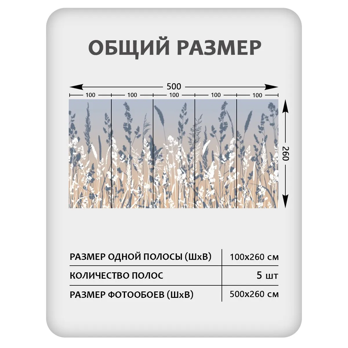 Фотообои рулонные Citydecor Невесомость 46 на флизелиновой основе 500x260 см