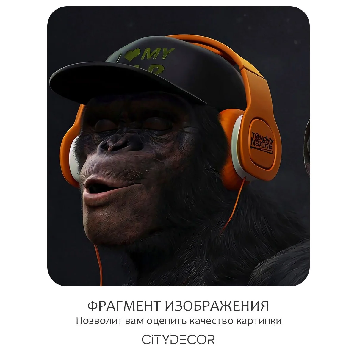 Бесшовное панно Citydecor Люди и Знаменитости 4 на флизелиновой основе 500x270 см