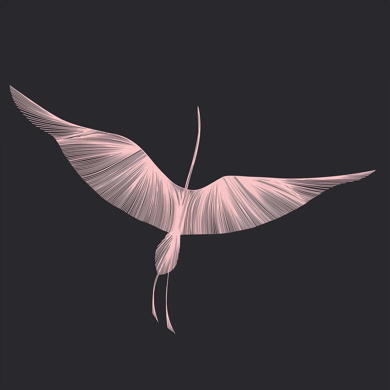 Дизайнерские фотообои рулонные Citydecor Perfect Lines 13 на флизелиновой основе 500x260 см