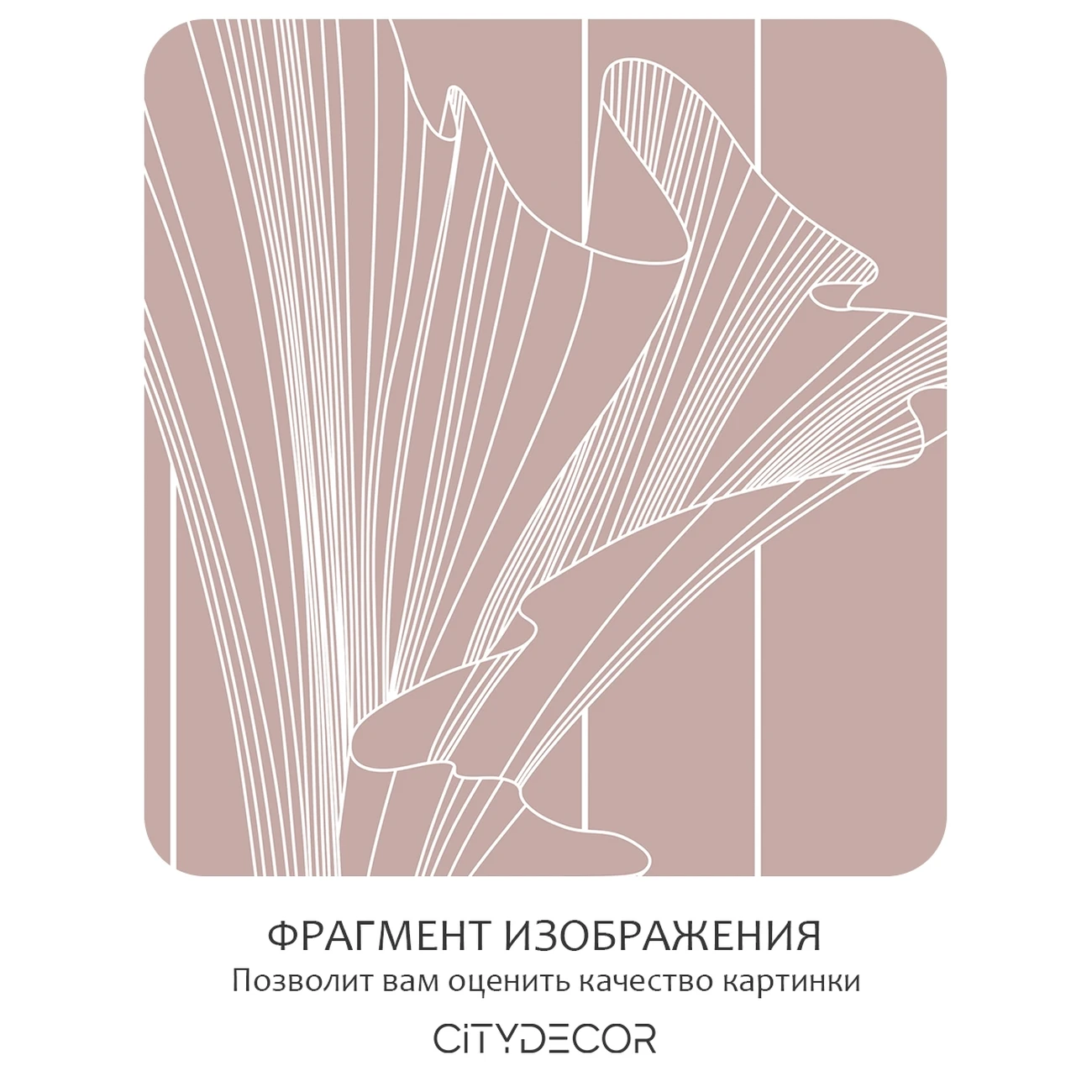 Фотообои рулонные Citydecor Perfect Lines 46 на флизелиновой основе 500x260 см