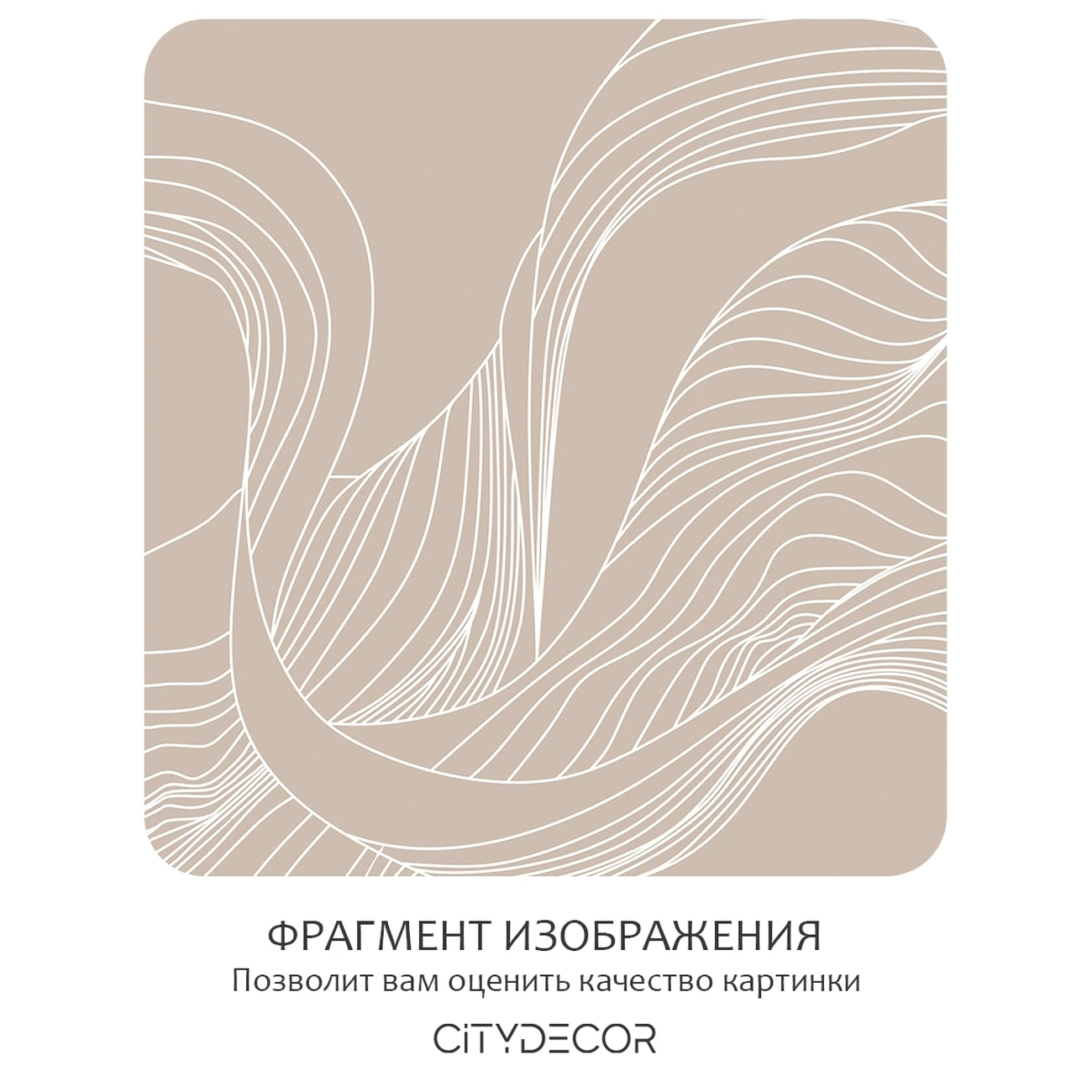 Фотообои рулонные Citydecor Perfect Lines 51 на флизелиновой основе 500x260 см