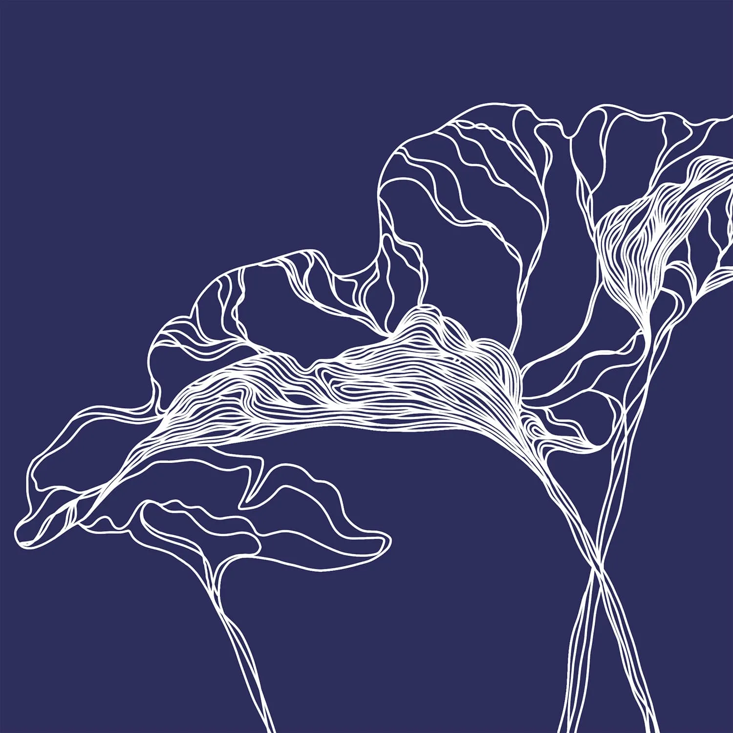 Дизайнерские фотообои рулонные Citydecor Perfect Lines 5 на флизелиновой основе 500x260 см