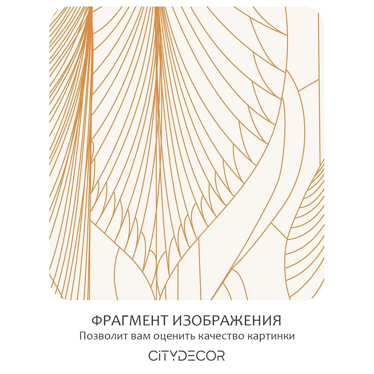 Фотообои рулонные Citydecor Perfect Lines 64 на флизелиновой основе 500x260 см