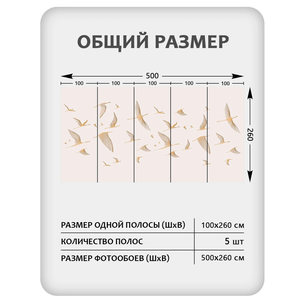 Фотообои рулонные Citydecor Perfect Lines 67 на флизелиновой основе 500x260 см