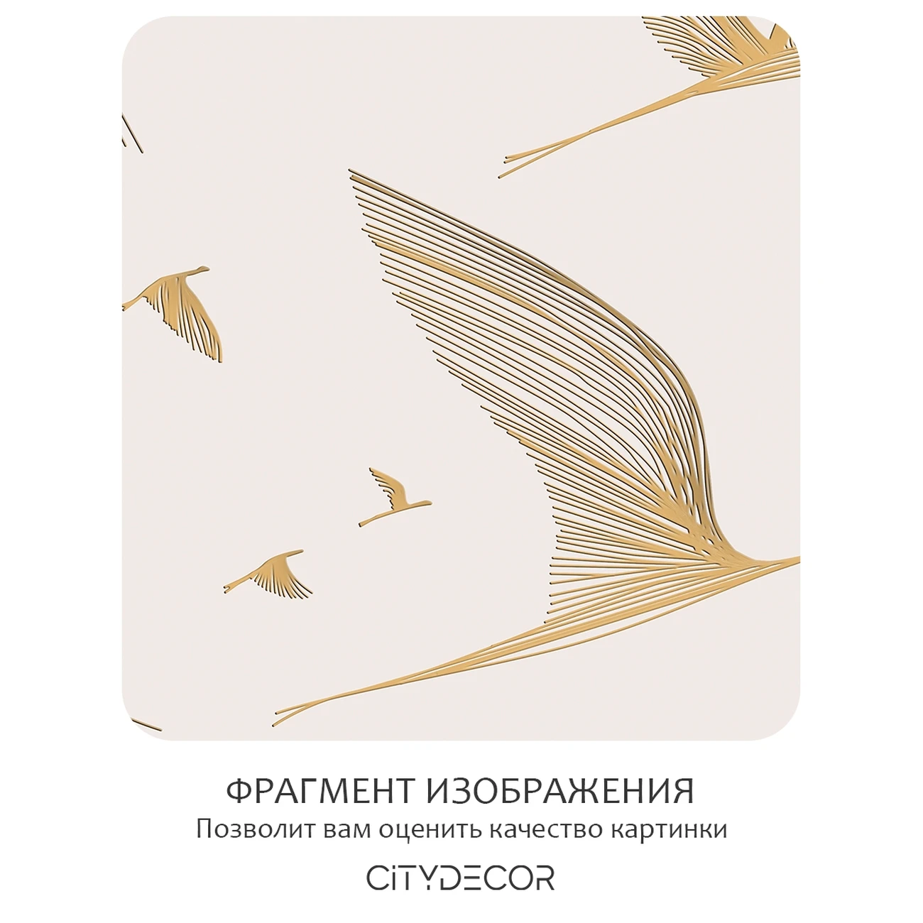 Фотообои рулонные Citydecor Perfect Lines 67 на флизелиновой основе 500x260 см