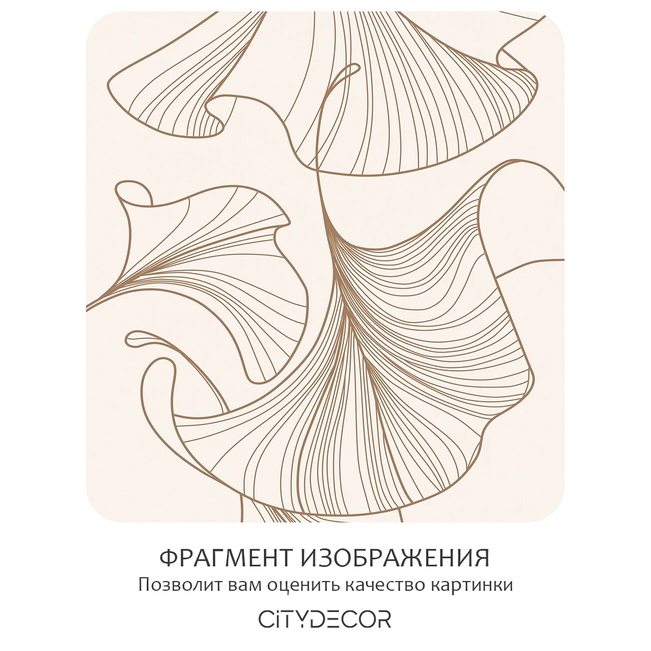 Фотообои рулонные Citydecor Perfect Lines 68 на флизелиновой основе 500x260 см