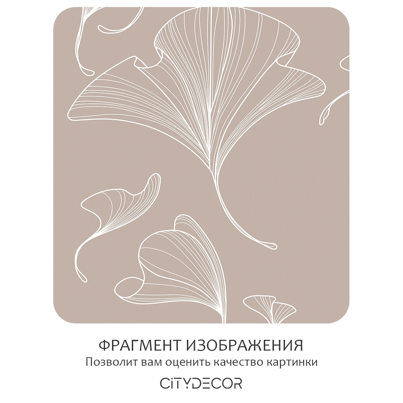 Фотообои рулонные Citydecor Perfect Lines 69 на флизелиновой основе 500x260 см