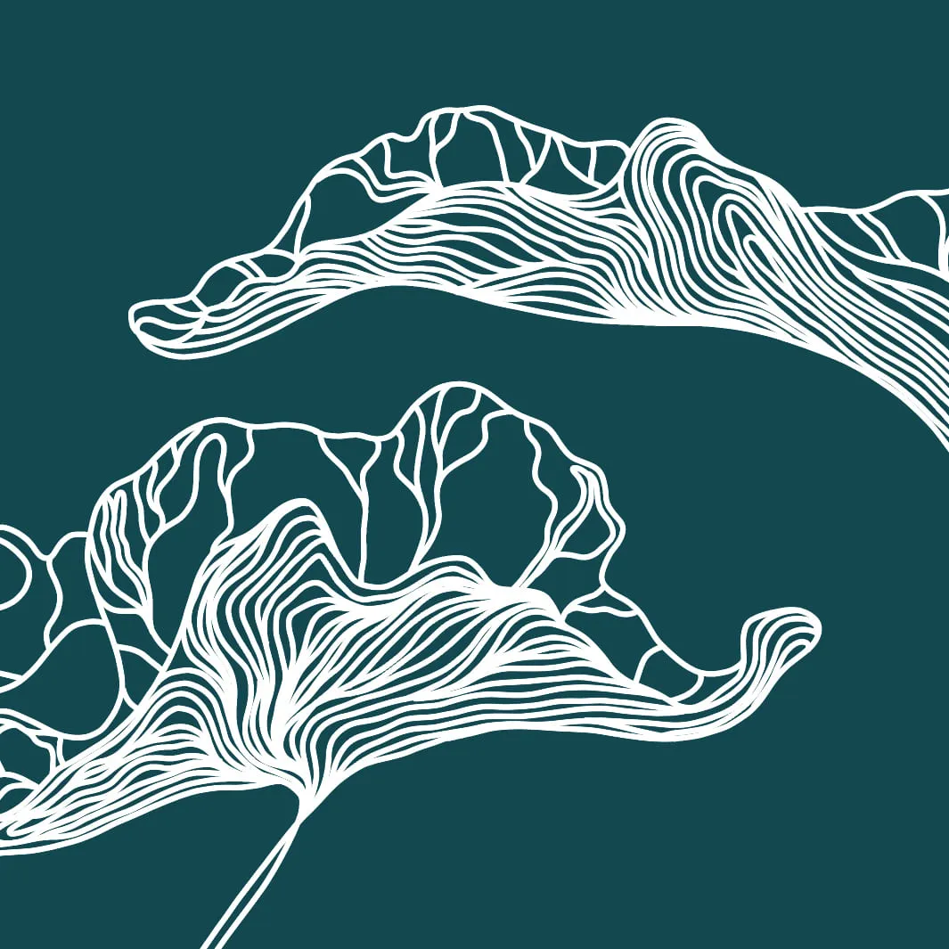 Дизайнерские фотообои рулонные Citydecor Perfect Lines 6 на флизелиновой основе 500x260 см