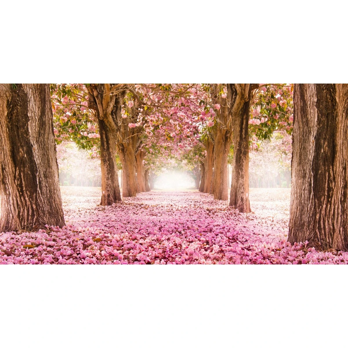 Бесшовное панно Citydecor Природа 14 на флизелиновой основе 500x270 см
