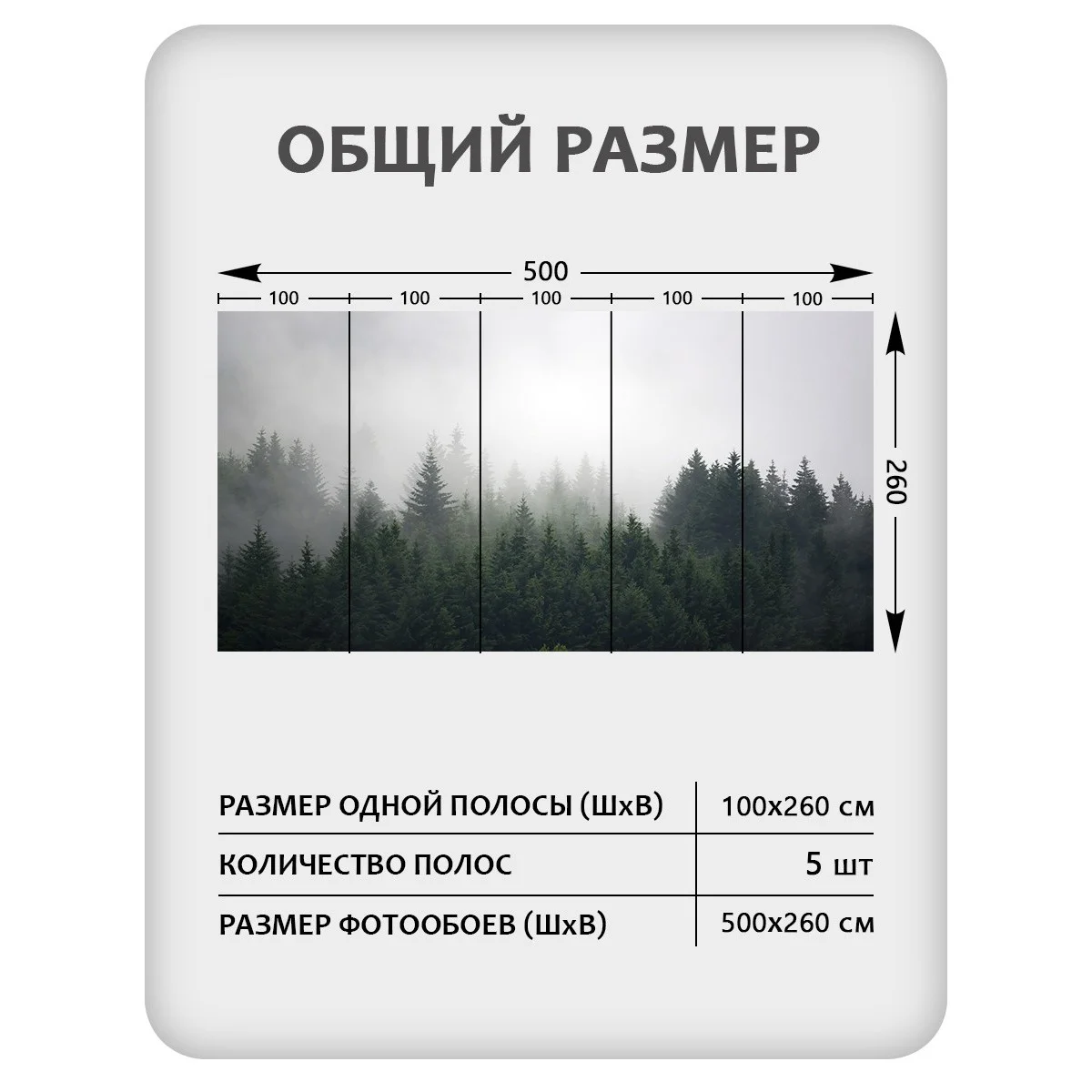 Фотообои рулонные Citydecor Природа 29 на флизелиновой основе 500x260 см