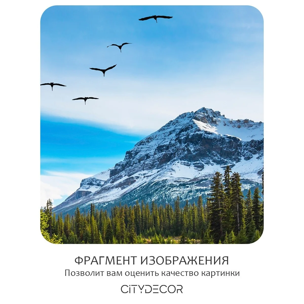 Бесшовное панно Citydecor Природа 30 на флизелиновой основе 500x270 см