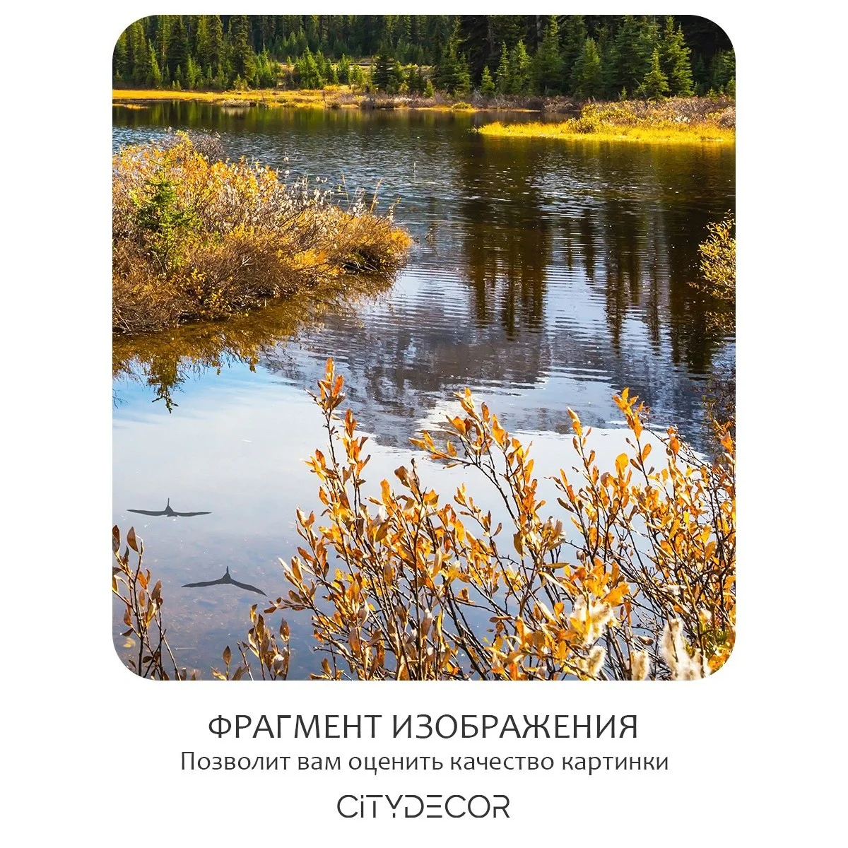 Бесшовное панно Citydecor Природа 30 на флизелиновой основе 500x270 см