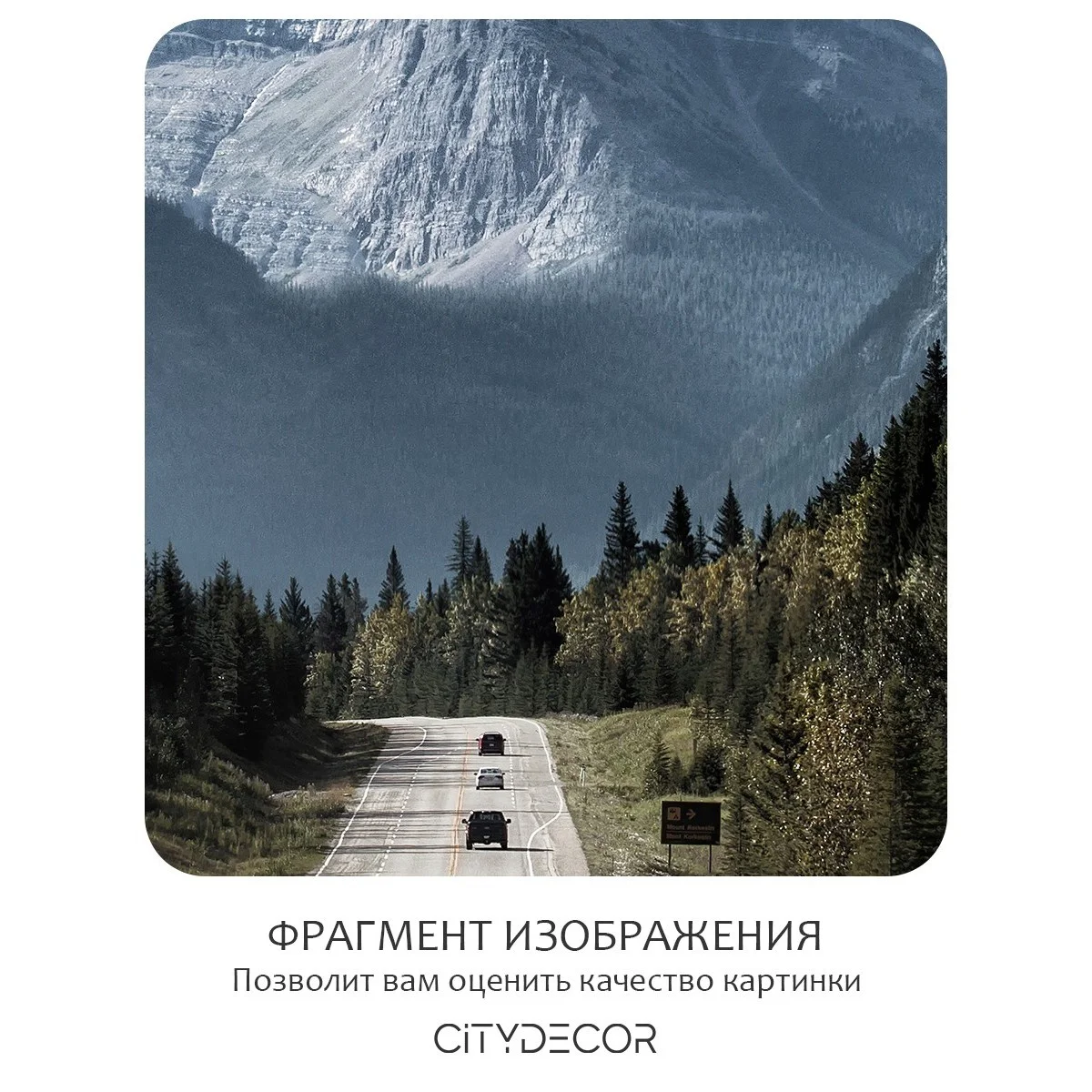 Бесшовное панно Citydecor Природа 35 на флизелиновой основе 500x270 см