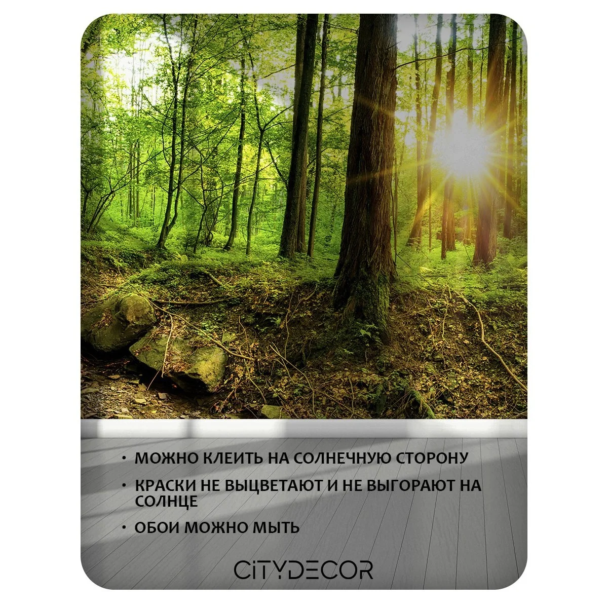 Бесшовное панно Citydecor Природа 37 на флизелиновой основе 500x270 см