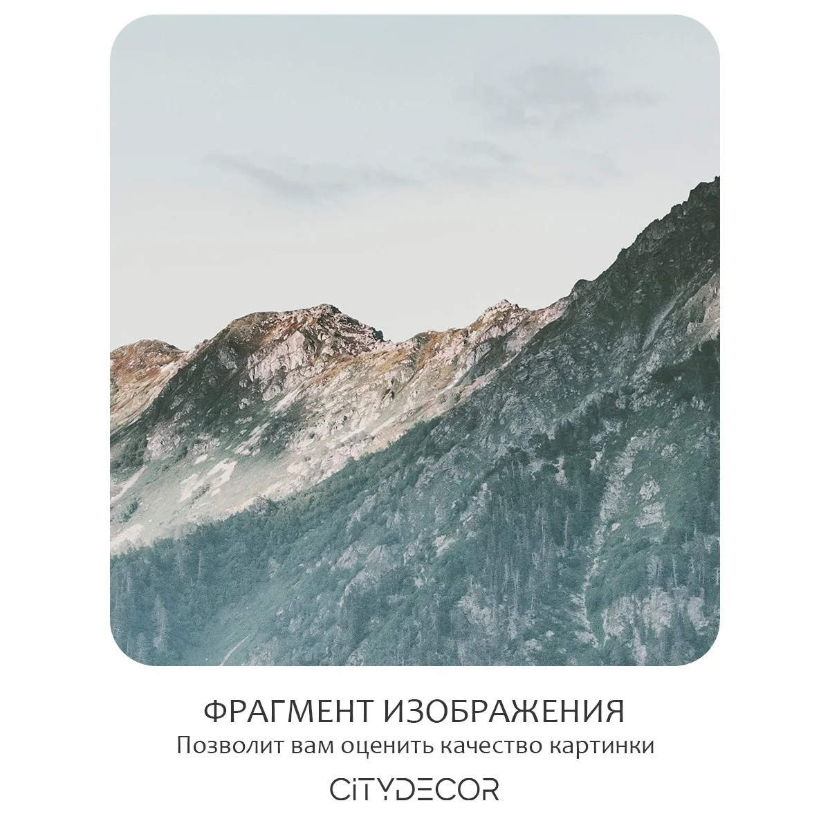 Бесшовное панно Citydecor Природа 52 на флизелиновой основе 500x270 см