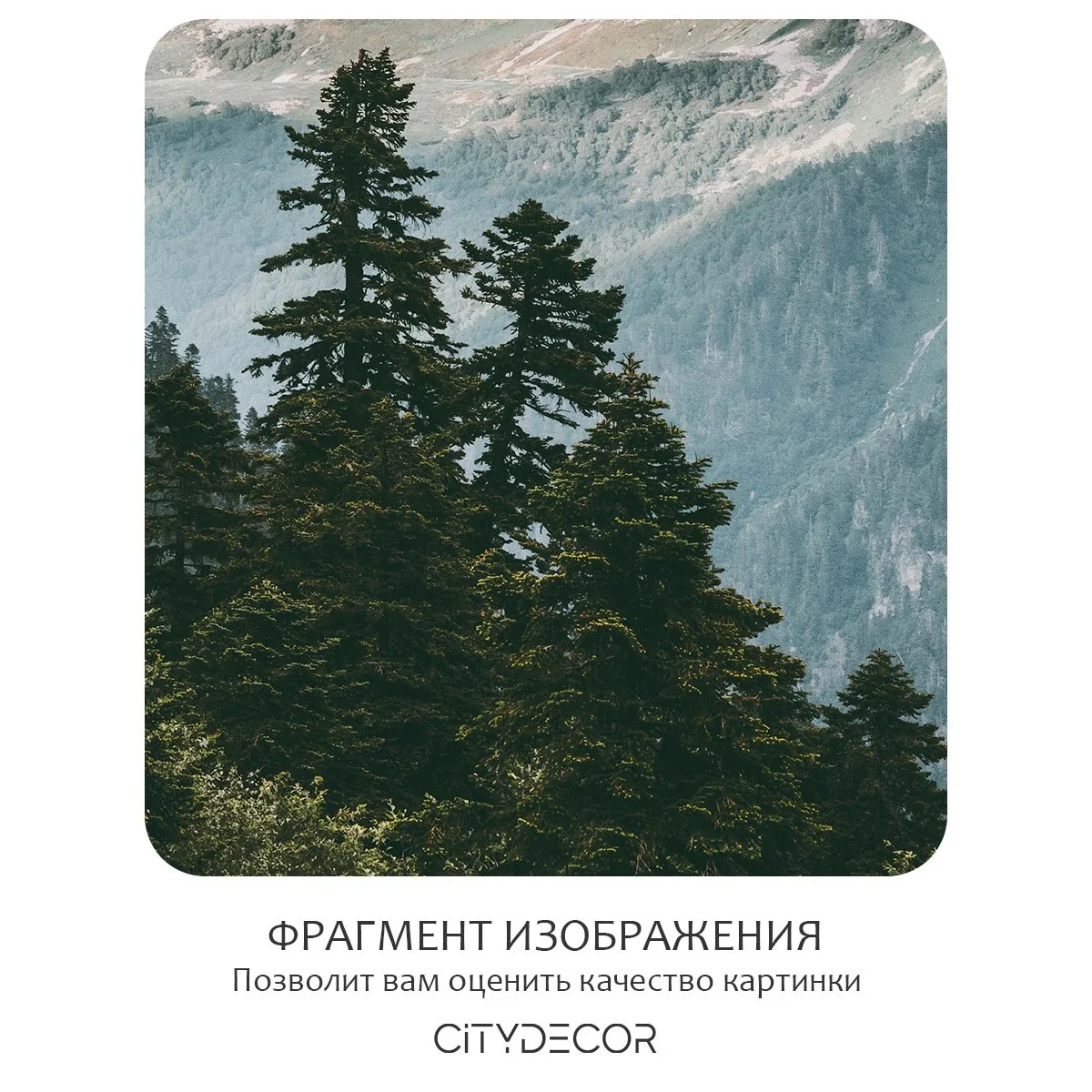 Бесшовное панно Citydecor Природа 52 на флизелиновой основе 500x270 см