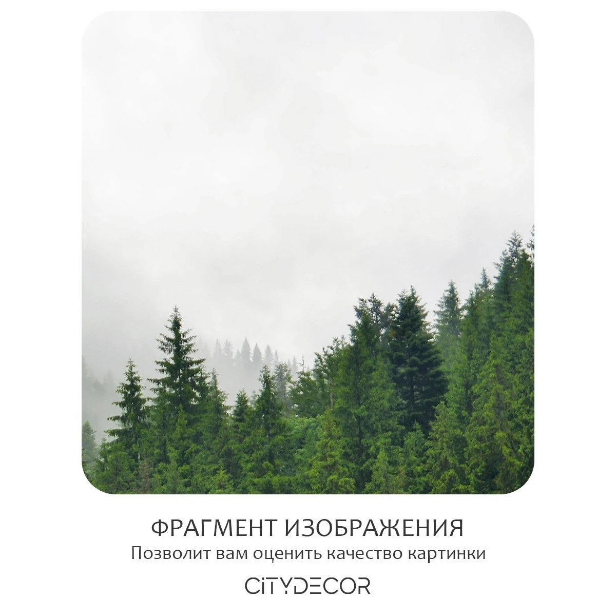 Бесшовное панно Citydecor Природа 6 на флизелиновой основе 500x270 см