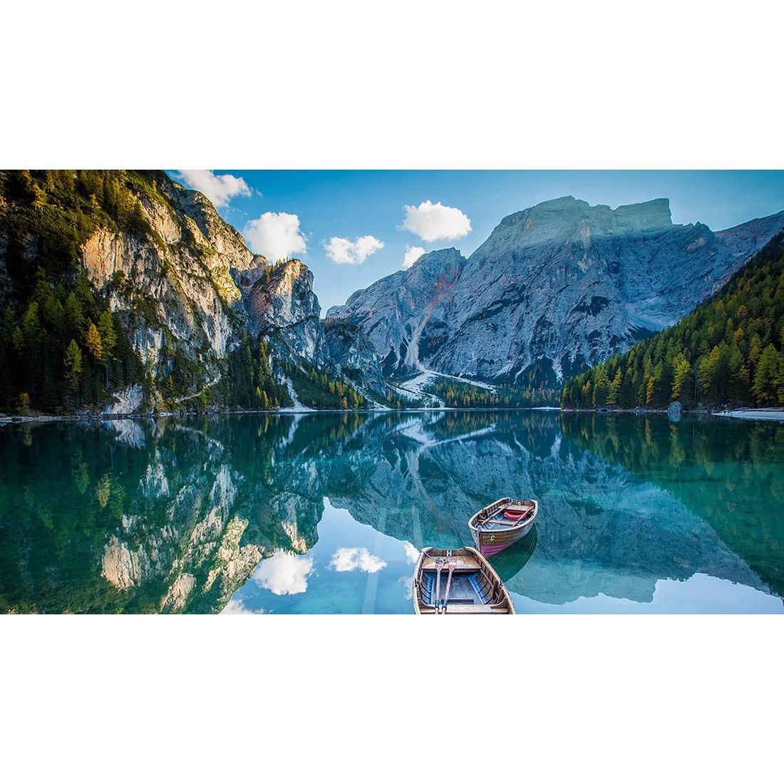 Фотообои рулонные Citydecor Природа 95 на флизелиновой основе 500x260 см