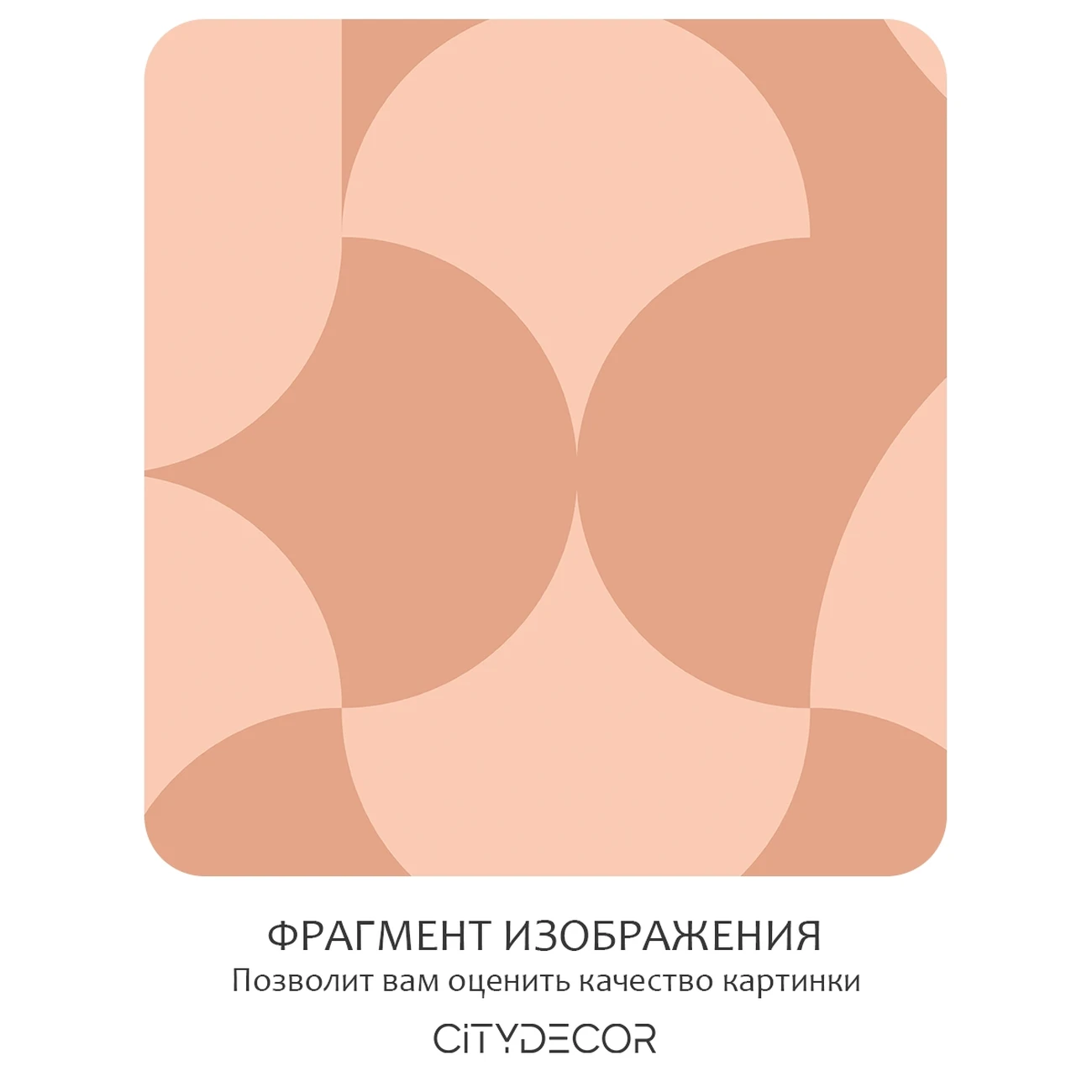 Фотообои рулонные Citydecor Scandi 6 на флизелиновой основе 500x260 см