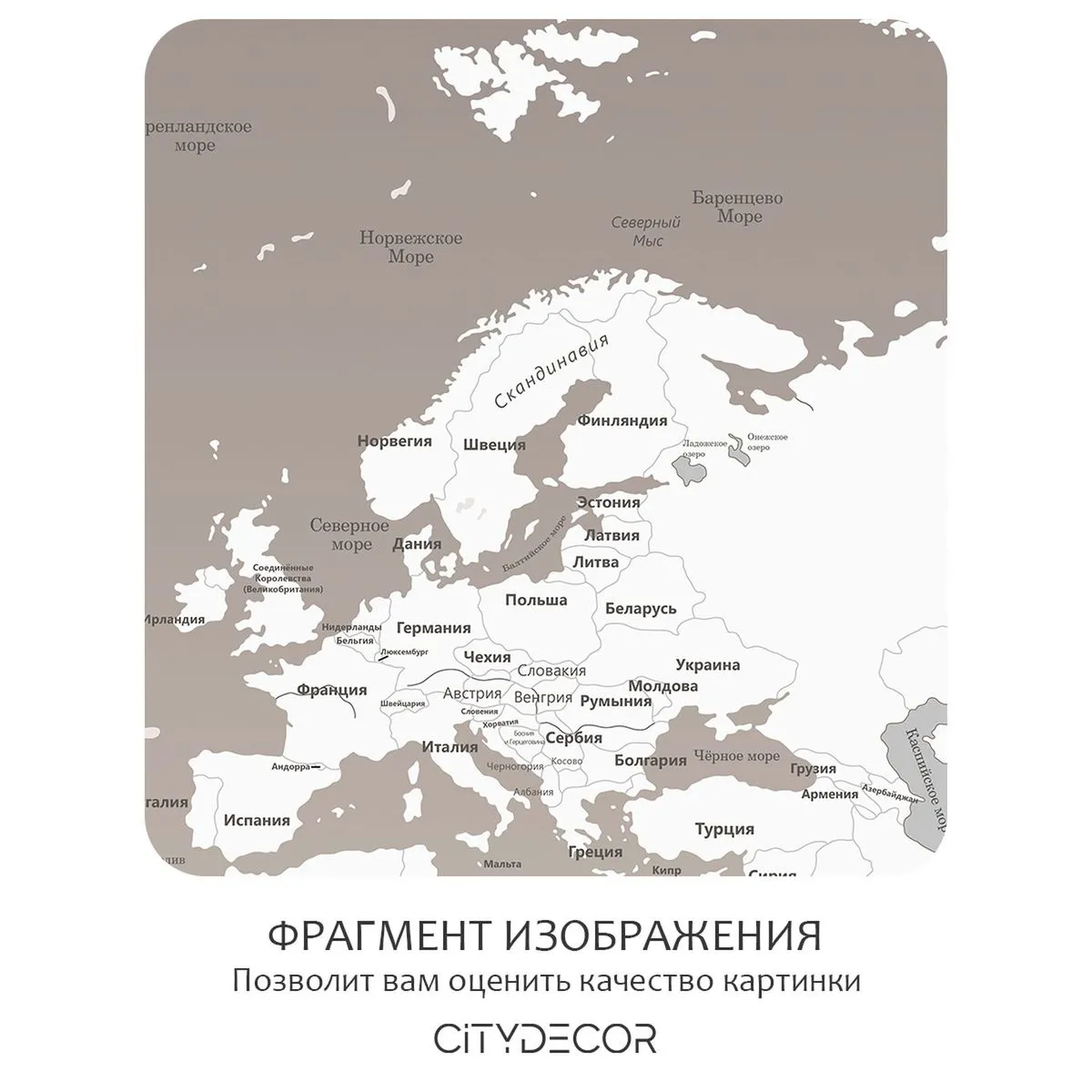 Бесшовное панно Citydecor Карта мира 25 на флизелиновой основе 500x270 см