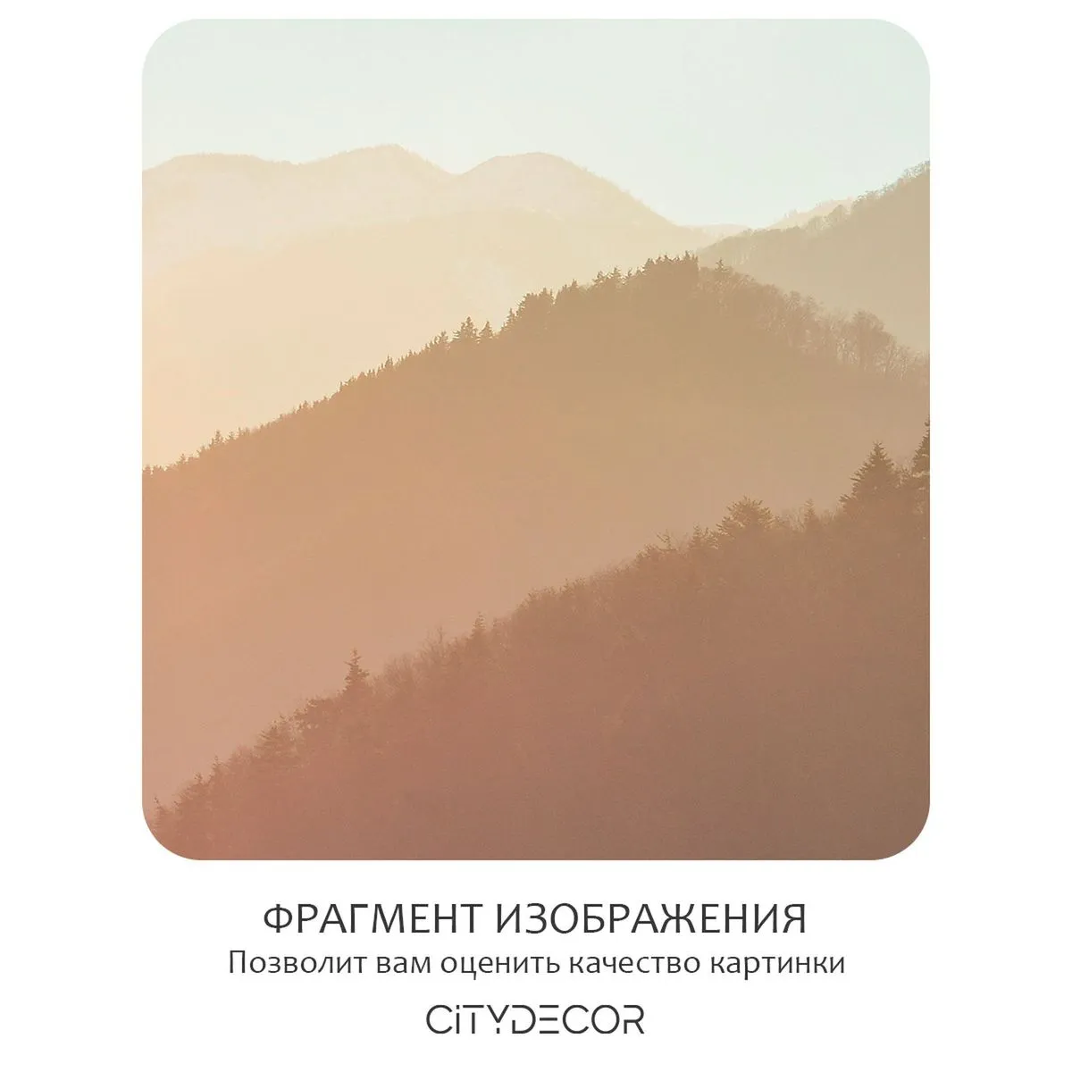 Бесшовное панно Citydecor Природа 147 на флизелиновой основе 500x270 см