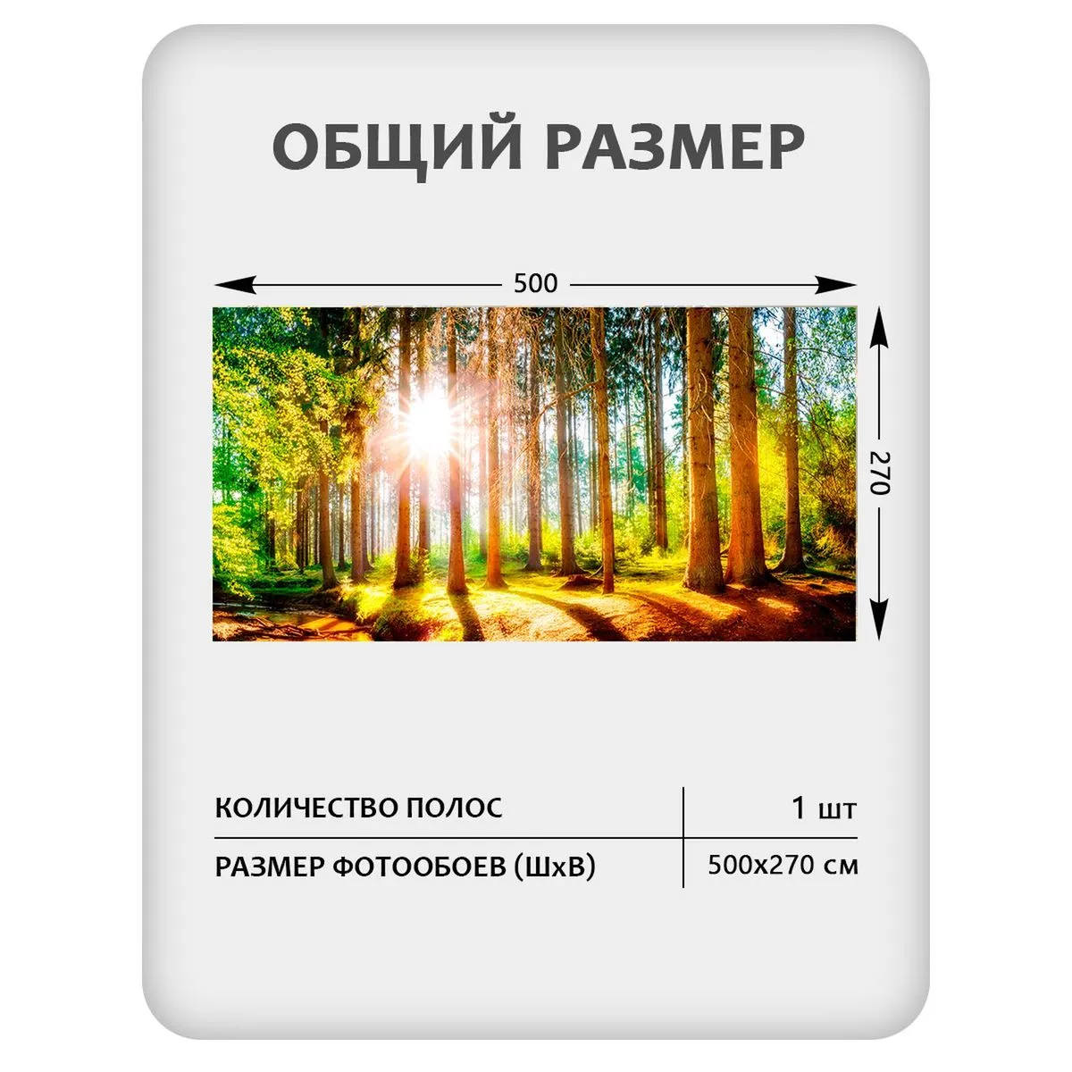 Бесшовное панно Citydecor Природа 149 на флизелиновой основе 500x270 см