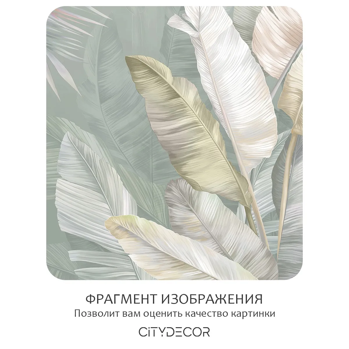 Бесшовное панно Citydecor Знойные тропики 24 на флизелиновой основе 500x270 см