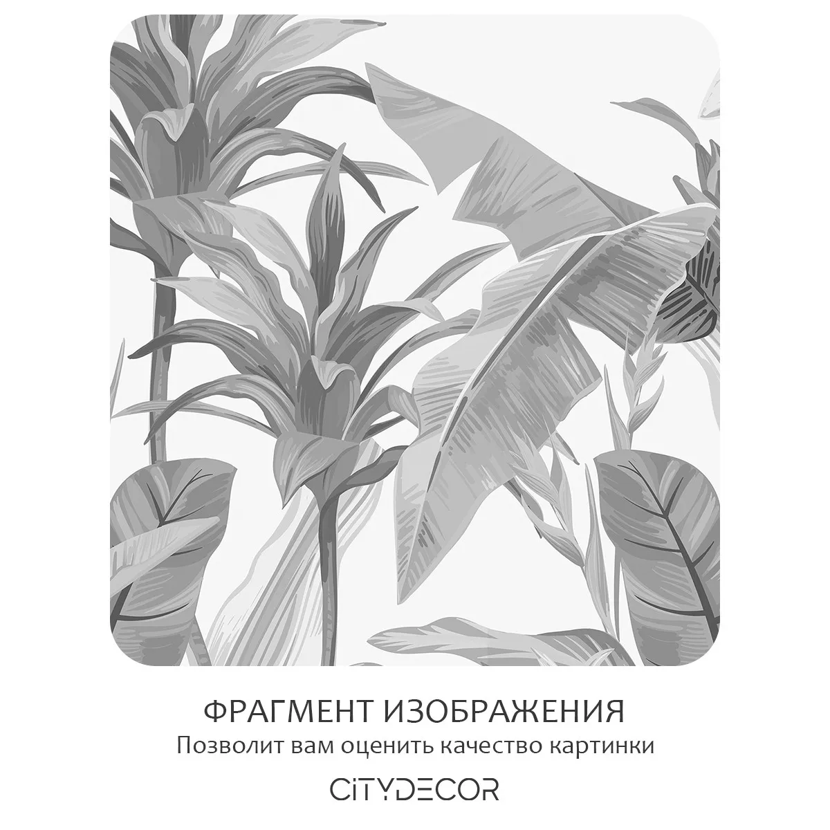 Бесшовное панно Citydecor Знойные тропики 26 на флизелиновой основе 500x270 см