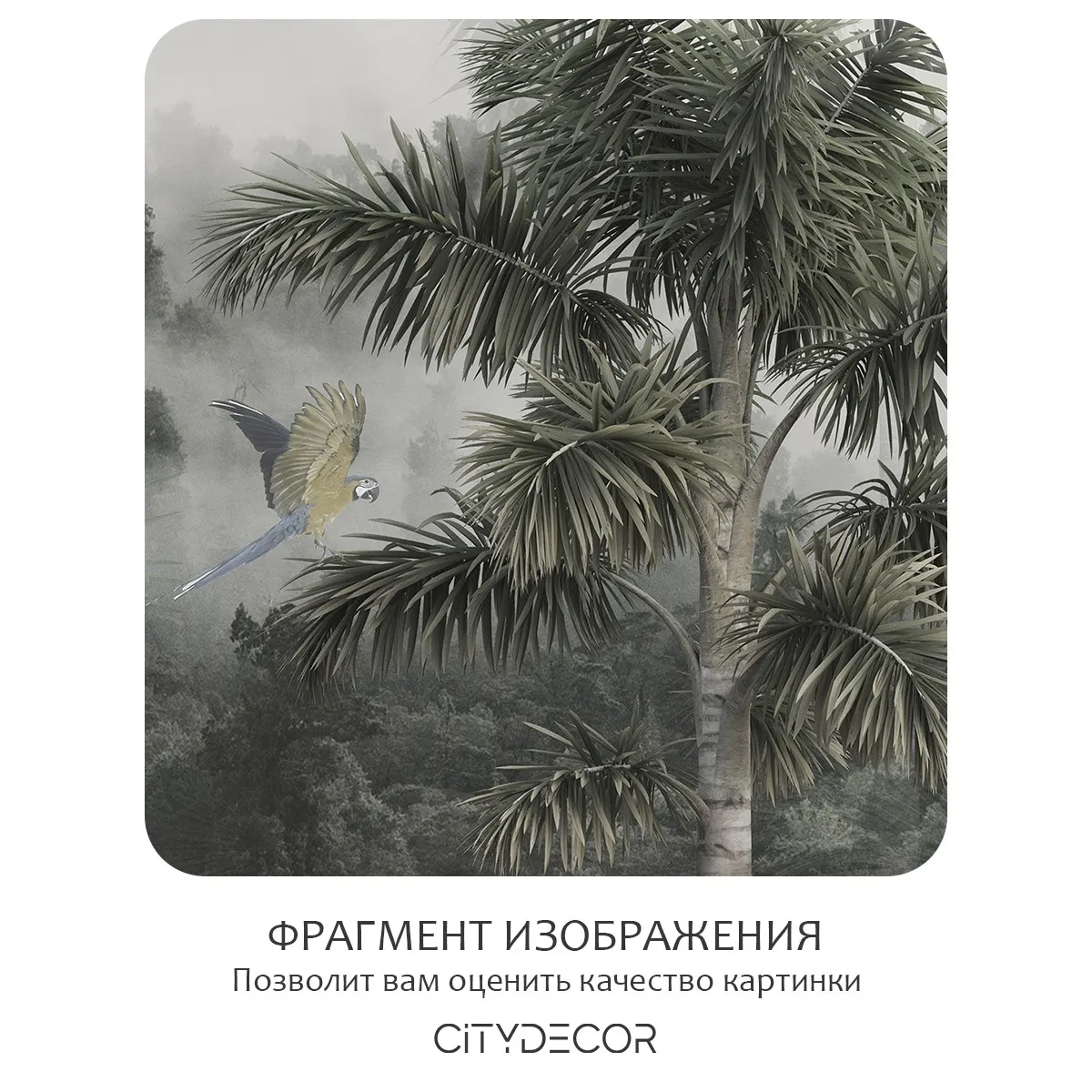Бесшовное панно Citydecor Знойные тропики 32 на флизелиновой основе 500x270 см