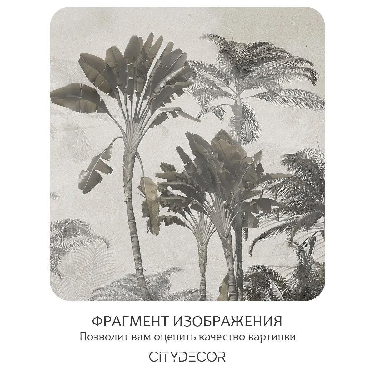 Бесшовное панно Citydecor Знойные тропики 33 на флизелиновой основе 500x270 см