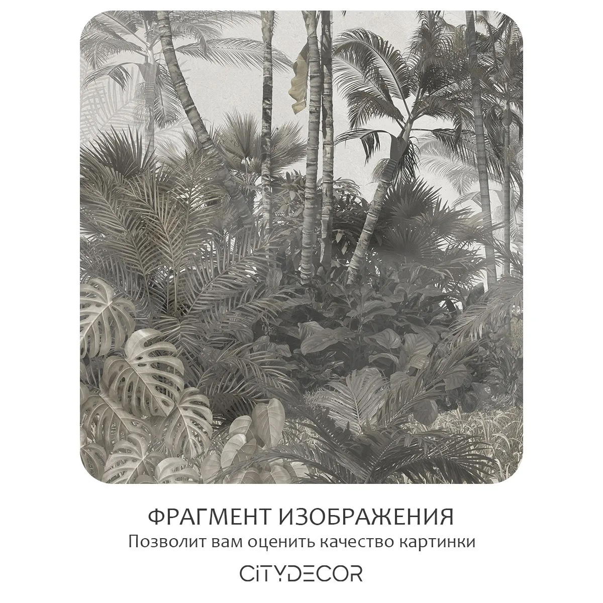 Бесшовное панно Citydecor Знойные тропики 33 на флизелиновой основе 500x270 см